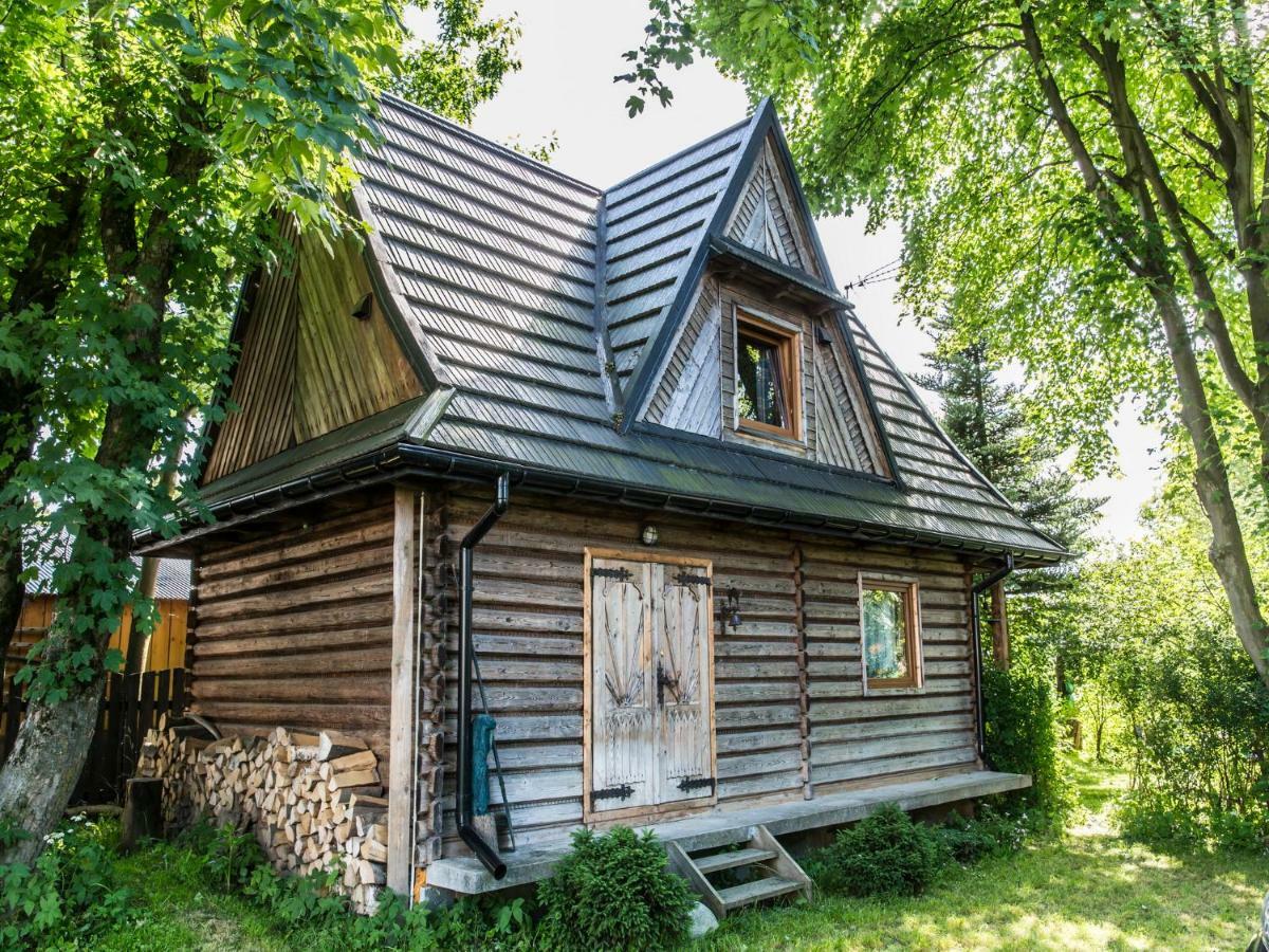 Dom Drewniany Ozwa Villa Gronkow ภายนอก รูปภาพ